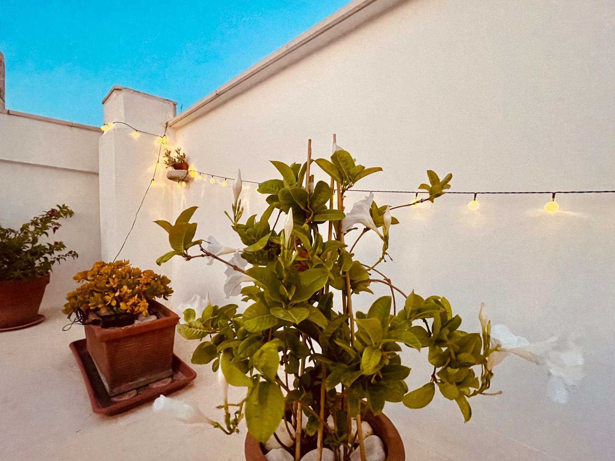 Villa Le Nicchie Bisceglie Esterno foto